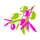 Con base de aceite