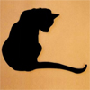 CuriozCat