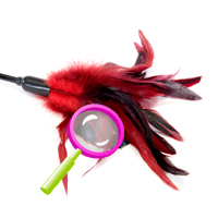 Starburst fantasy feather