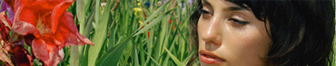 Organic Orgasms: Environmentally Conscious Adult Products