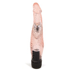 Devinn Lane's vibrator