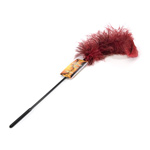 Ostrich feather