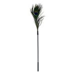 Peacock tickler