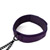 Crave collared nipple clamps