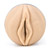 Fleshlight lady original
