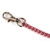 Fresh chain leash