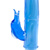 Aquarius dolphin