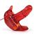 Hummingbird arouser