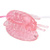 Butterfly clitoral pump