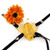 Micro butterfly