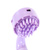 Wireless personal pleasurizer