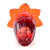 Emma's rose bulb