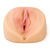 Jesse Jane's futurotic pussy