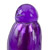 Shay's purple penguin