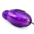 Shay's purple penguin