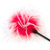 Fluffer tickler