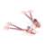 Precious gems butterfly nipple jewelry
