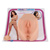 Jenna Haze's CyberSkin pussy & ass