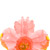 Eden waterproof pleasure petals