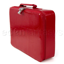 For your nymphomation sex toy case