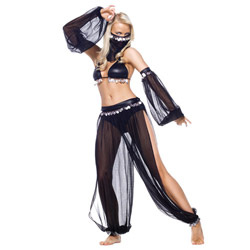 Costume - Arabian dancer costume