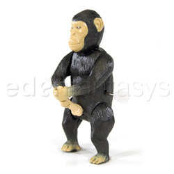 Masturbating monkey