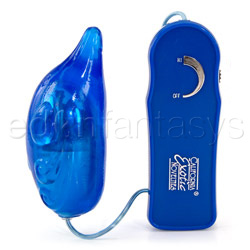Sophia's blue wave dolphin