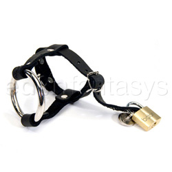 Cock And Balls Device - Locking cock & ball harness