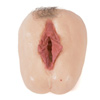 Artificial Vagina - Christy Canyon vagina