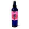Spray lubricant - Dominatrix spritz