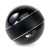 Remote control egg