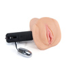 Penthouse CyberSkin pet pussy, Aimme Sweet