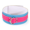 Fresh buckle collar
