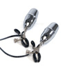 Remote control egg