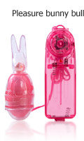Pleasure bunney bullet