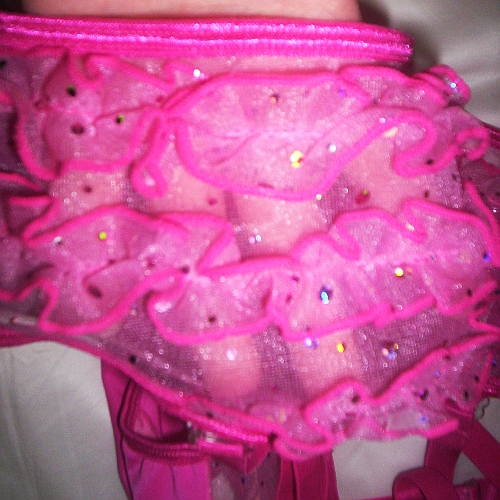 Princess Panties - back closeup