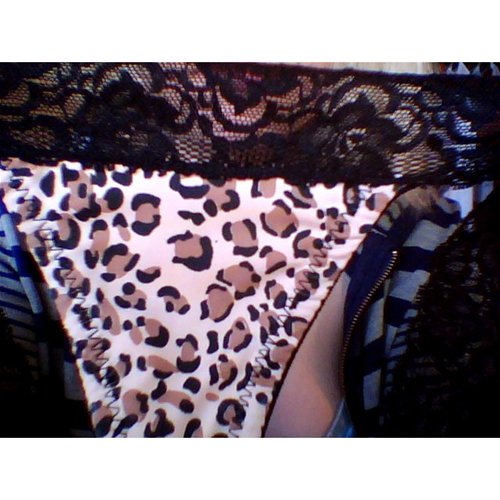 Leopard front