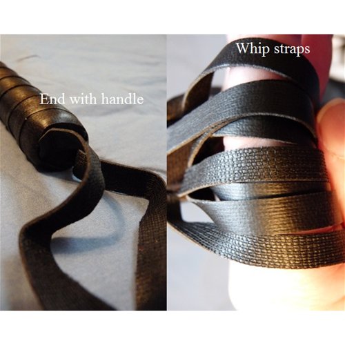 Whip handle and straps