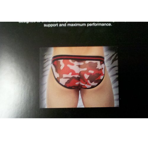 Image from the review #2