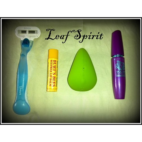 Leaf Spirit- international object comparison