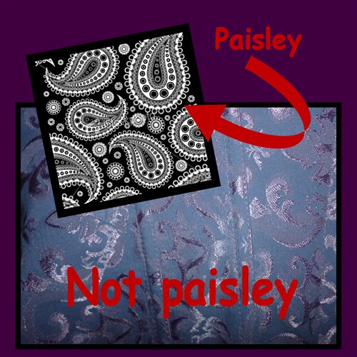 paisley, not paisley