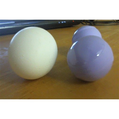 Egg Comparison