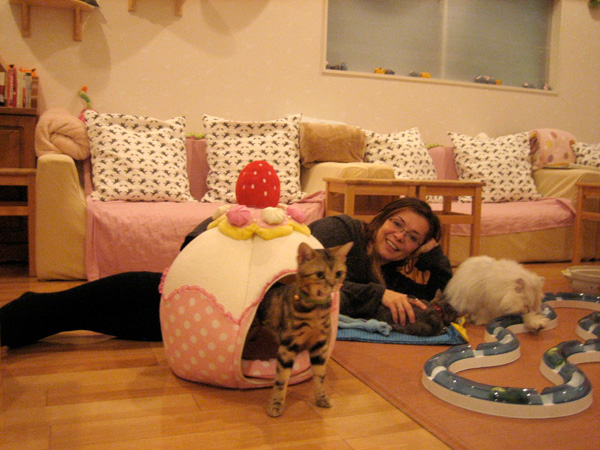 Midori with Cats