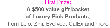 A $500 value gift basket of Luxury Pink Products